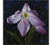 Blake Flynn "Optical Bloom No.4"