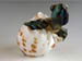 Lampworked Glass Sea Turtle Hatchling